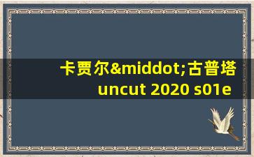 卡贾尔·古普塔 uncut 2020 s01e01 hindi